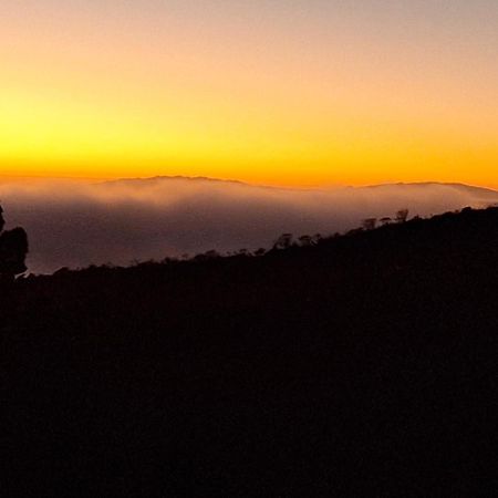 Casa El Pino B Daire Vera de Erque Oda fotoğraf
