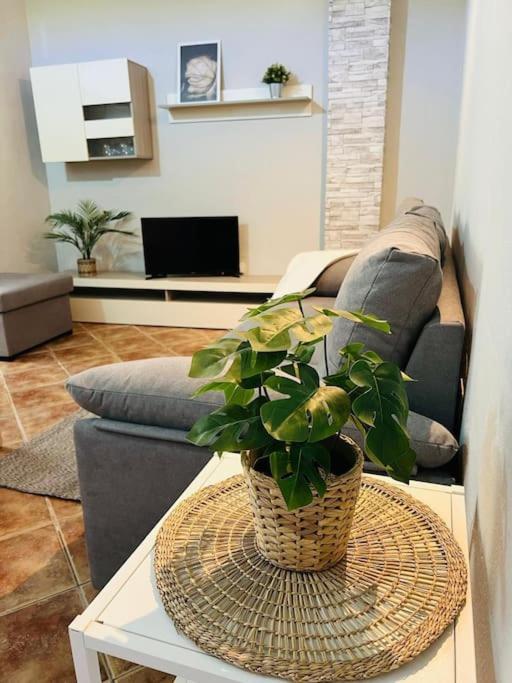 Casa El Pino B Daire Vera de Erque Dış mekan fotoğraf